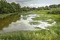 One of many oxbow lakes of the Morava