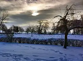 Anglesqueville in winter