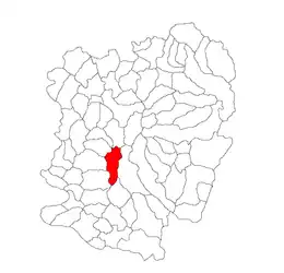 Location in Caraș-Severin County