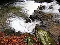 Cascade below Anna Ruby Falls