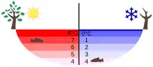 Image 11Temperature distribution in a lake in summer and winter (from Properties of water)