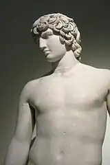 The Antinous Farnese