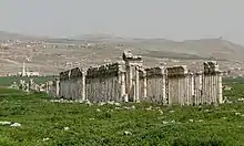 Overview of the colonnade.