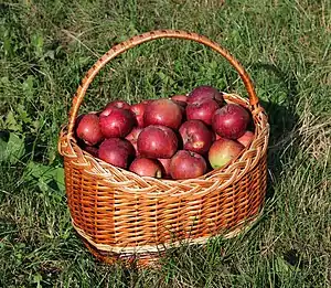 apples in a basket. Ukraine, Vinnytsia Oblast, 2018