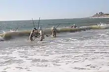 People collect seaweed for fertilizer off the coast of Portugal