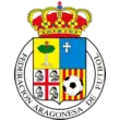 Shirt badge/Association crest