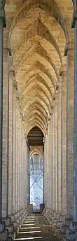 Stone arches reminiscent of a Gothic cathedral.