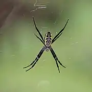 Northern Territory, Australia