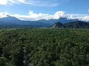 Aerial View of Gethsemane Man-made Forest