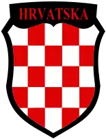 Sleeve insignia with the Croatian chessboard shield worn on the right upper arm.