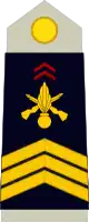 Sergent-chef(French Army)