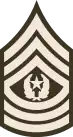 Command Sergeant Major