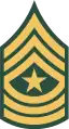 1966–1968, the only authorized insignia for all sergeant majors