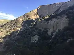 Cliffs at the northern end of Del Valle Regional Park