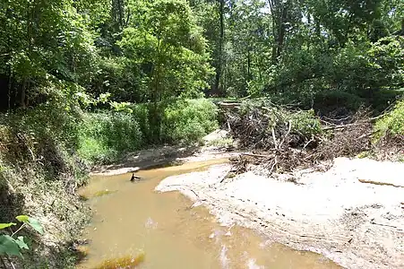 Foster Creek below Artillery Ridge looking west toward Fort Babcock.