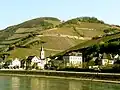 View from Rhine, in April, with the famous Höllenberg Lage