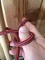 Falconer's  knot 3 : Loop around the thumb, end between fingers