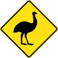 (W5-45) Emus crossing