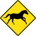 (W5-46) Wild Horses Crossing