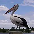 At Portside Wharf in Brisbane, Queensland