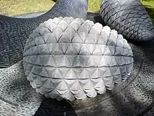 Hand carved granite Australian casuarina seed pod