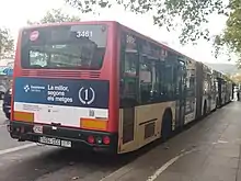 Image 137MAN NG 313 F articulated bus, bodied by Castrosua (CS 40) in TMB, Barcelona. (from Articulated bus)