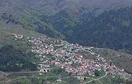 A view of Avdella