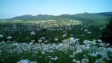 A view of Aygehovit