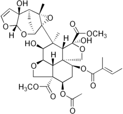 Image 8Structure of Azadirachtin, a terpenoid produced by the Neem plant, which helps ward off microbes and insects. Many secondary metabolites have complex structures (from Evolutionary history of plants)