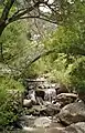 An old bridge on the Azat River