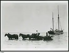 Image 6Loading grain from horse drawn wagons to the ketch 'Free Selector' on Kangaroo Island (from Transport in South Australia)