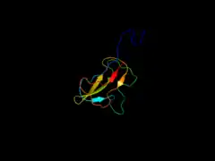 Biotin carboxyl carrier protein subunit of E. coli acetyl-CoA carboxylase