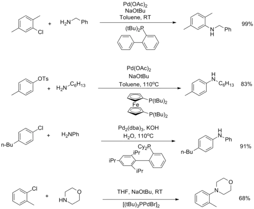 Bulky ligands in the Buchwald–Hartwig amination