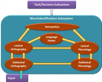 A flow chart representation of the BIA+ model for bilingual language processing including the word identification and task/decision subsystems.