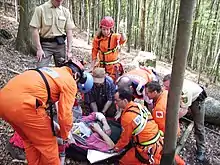 Image 23Mountain rescue team members and other services attend to a casualty in Freiburg Germany. (from Mountain rescue)