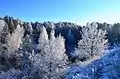 Image 7Winter in the countryside of Lithuania