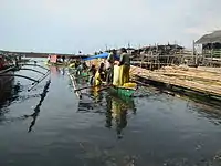 Fishing boat in Bacoor Bay