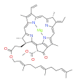 bacteriochlorophyll g