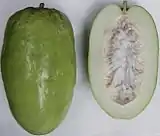 Giant granadilla (Passiflora quadrangularis L.)