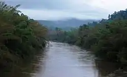 Bhadra River