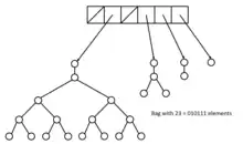 An example of bag structure with 23 elements.