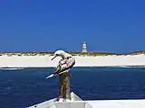 Baker Island coastline with red-footed booby