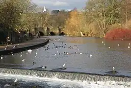 River Wye Park, with view of five-arch, 13th-century bridge