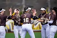 A Yellow Jackets softball game in 2022