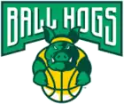 Ball Hogs logo