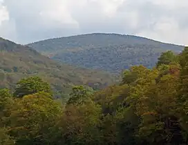 A forested mountain landscape