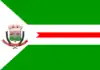 Flag of Tapiraí