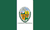 Flag of Camotán