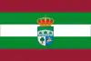 Flag of Valdelugueros, Spain