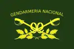 Gendarmeria flag